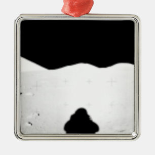 Apollo 17 assembled panorama 2 metal tree decoration