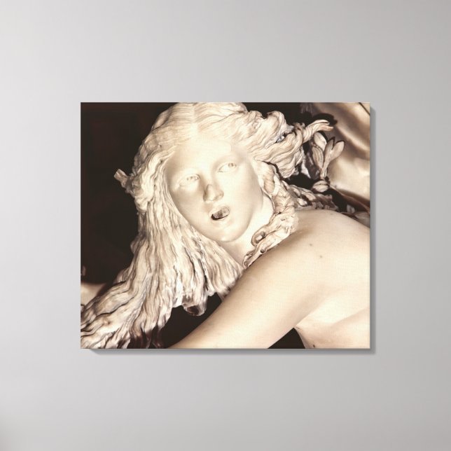Apollo and Daphne, detail of Daphne's head Canvas Print (Front)