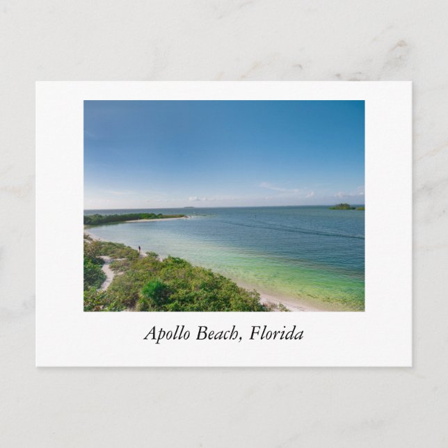 Apollo Beach Florida Postcard (Front)