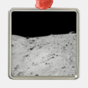 Apollo Panoramic Metal Tree Decoration