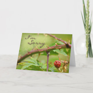 Apology card Sorry for being prickly