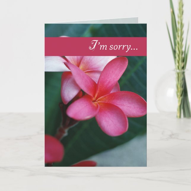 Apology Flower Card (Front)