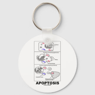 Apoptosis (Biology Cell Death) Key Ring