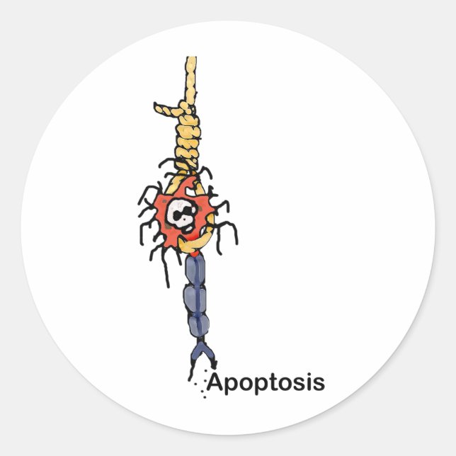 Apoptosis Classic Round Sticker (Front)