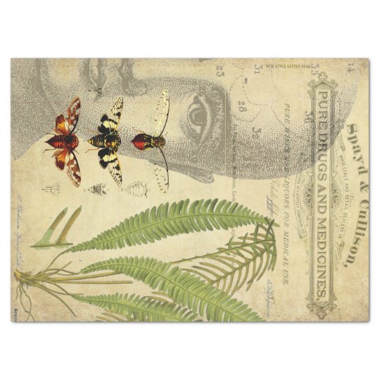 Apothecary Decoupage Tissue Tissue Paper Zazzle Co Uk