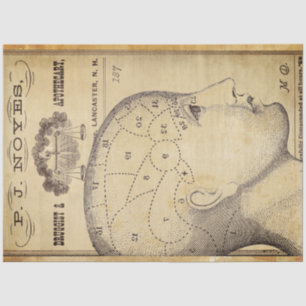 Apothecary Furniture Decoupage Paper