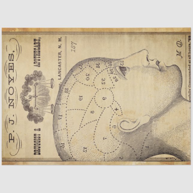 Apothecary Furniture Decoupage Paper (Front)