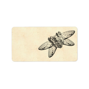 Apothecary Label