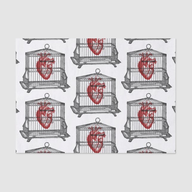 Apothecary Tissue Paper (Front)