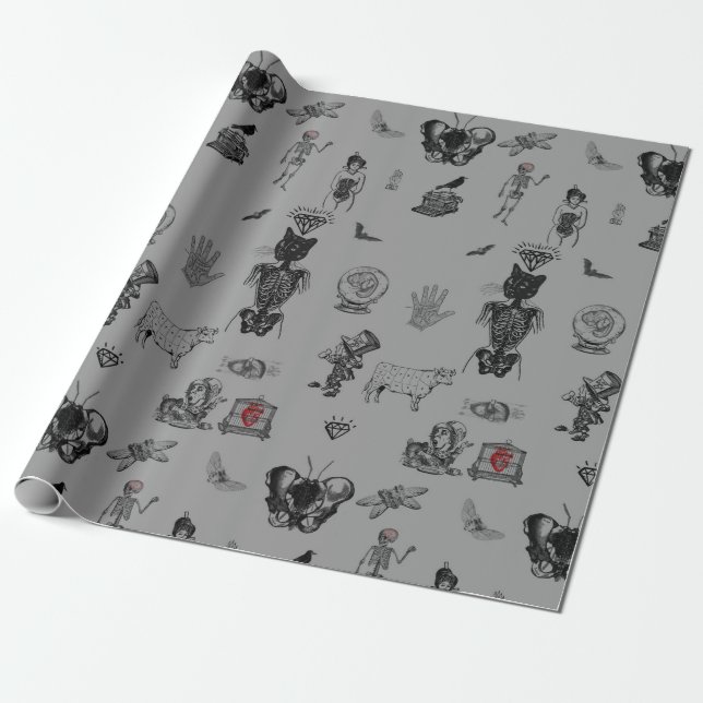 Apothecary Wrapping Paper (Unrolled)