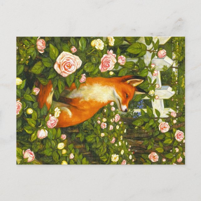 Appalachian Animals  Postcard (Front)