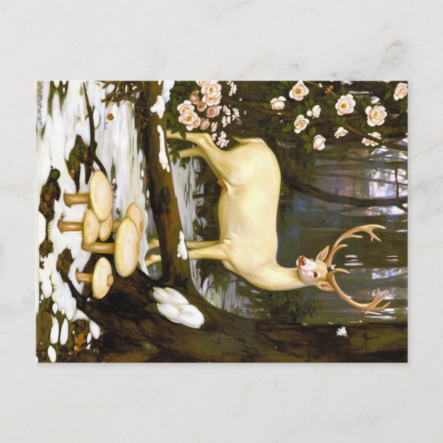 Appalachian Animals  Postcard (Front)