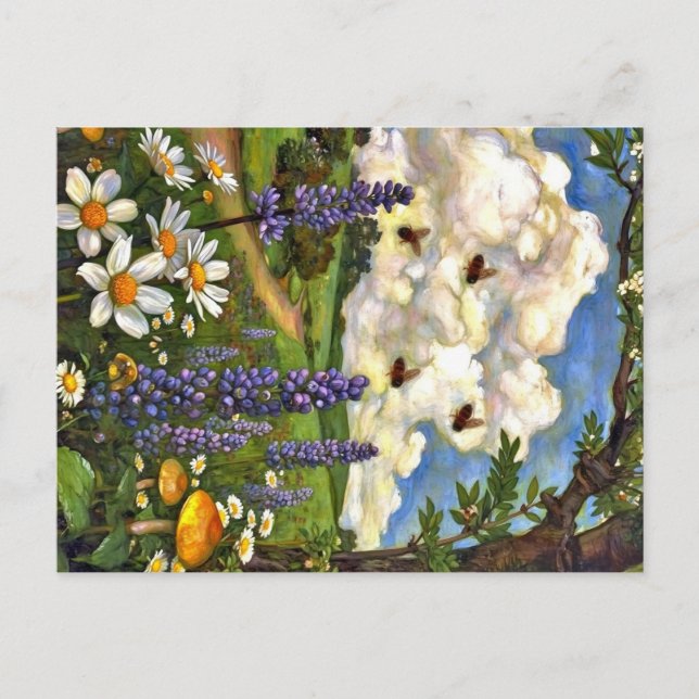 Appalachian Animals  Postcard (Front)