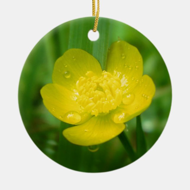 Appalachian Buttercup Ornament (Front)