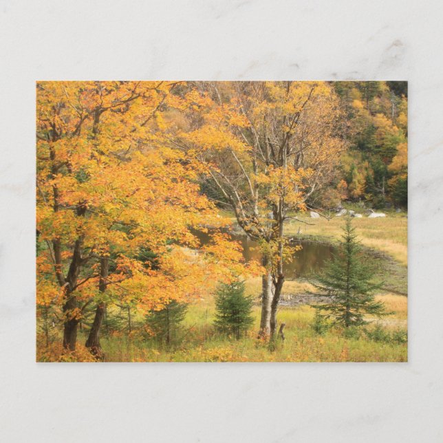 Appalachian Gap Pond Vermont Postcard (Front)