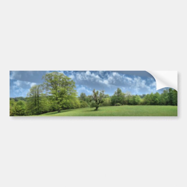 Appalachian Green Bumper Sticker (Front)