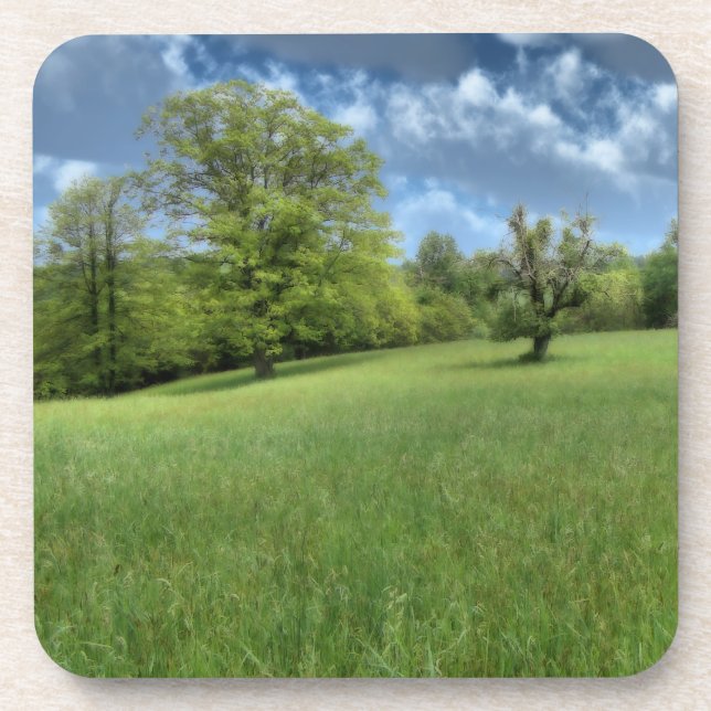 Appalachian Green Cork Coaster (Front)