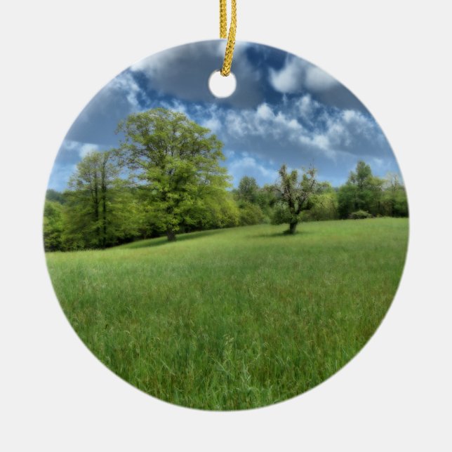 Appalachian Green Ornament (Front)