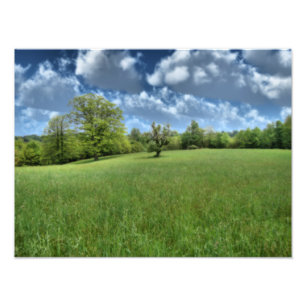 Appalachian Green Photo Print
