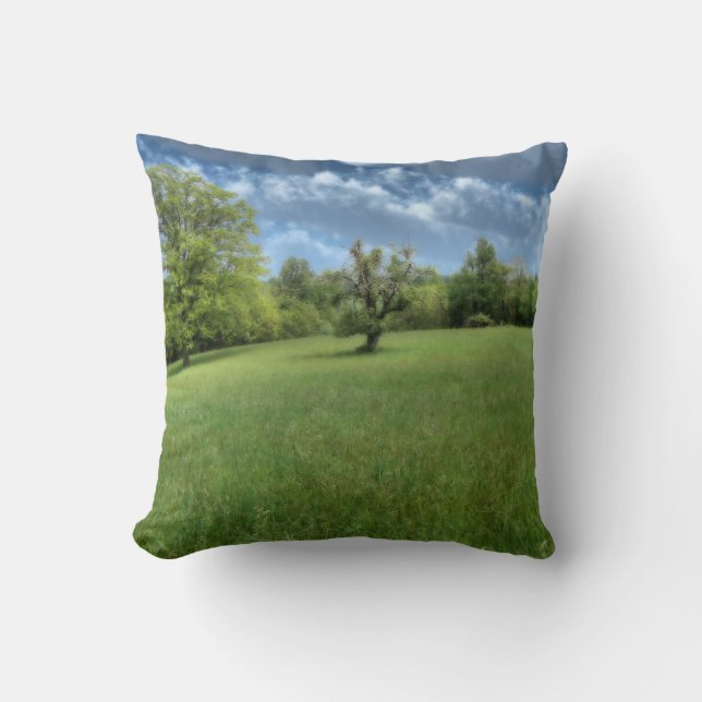 Appalachian Green Pillow (Front)