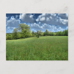 Appalachian Green Postcard