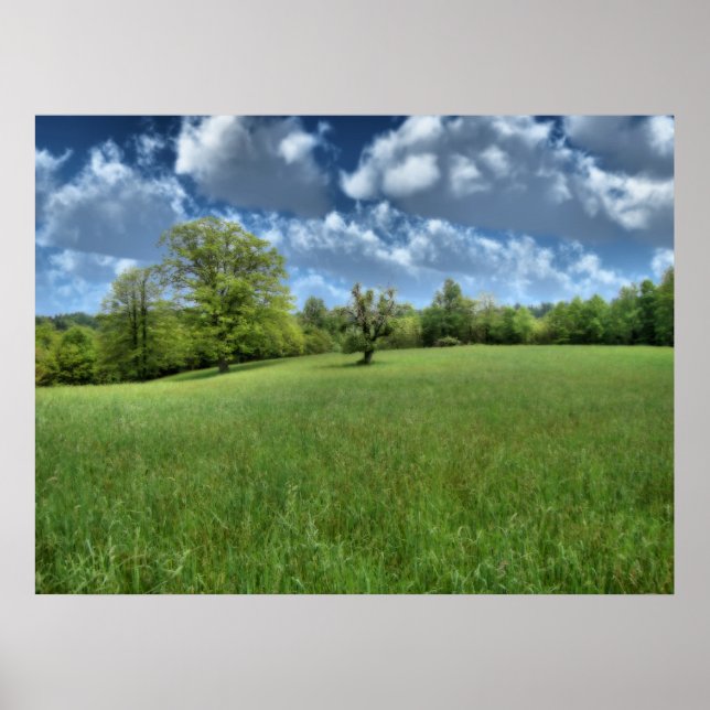 Appalachian Green Print (Front)