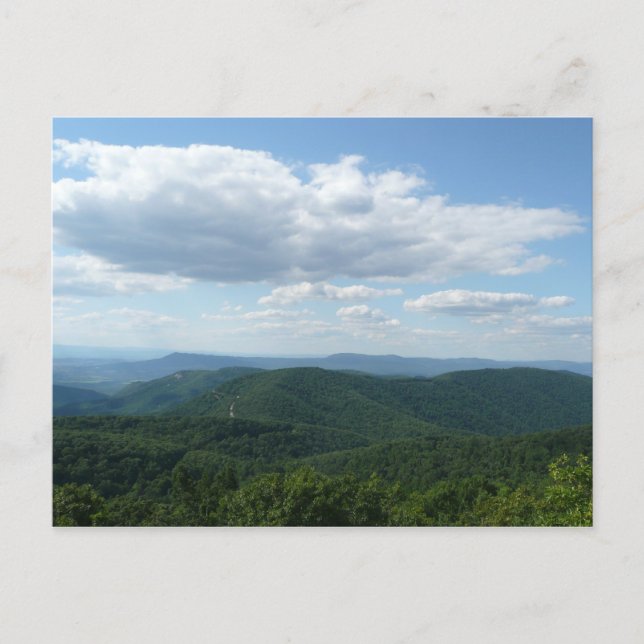 Appalachian Mountains I Shenandoah Postcard (Front)