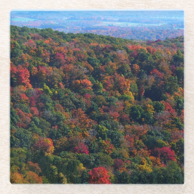 Appalachian Mountains in Fall Glass Coaster (Front)