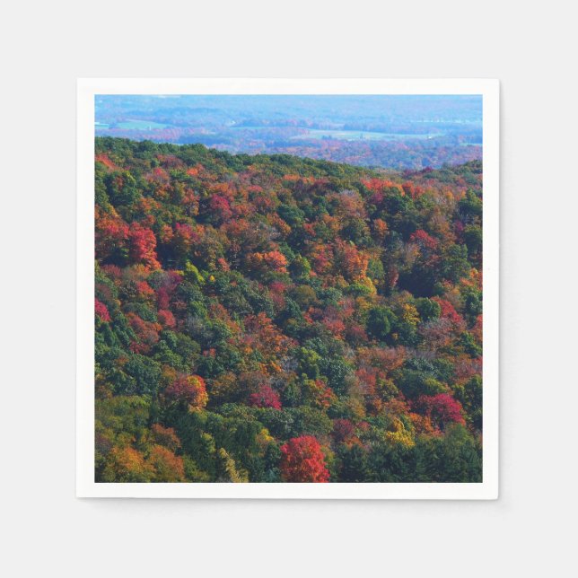 Appalachian Mountains in Fall Napkin (Front)