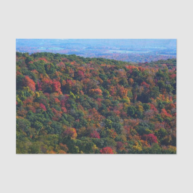 Appalachian Mountains in Fall Tissue Paper (Front)