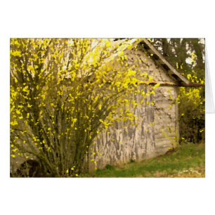 Appalachian Spring