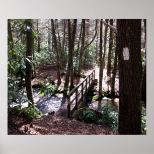 Appalachian Trail bridge at Laurel Fork Tennessee Poster