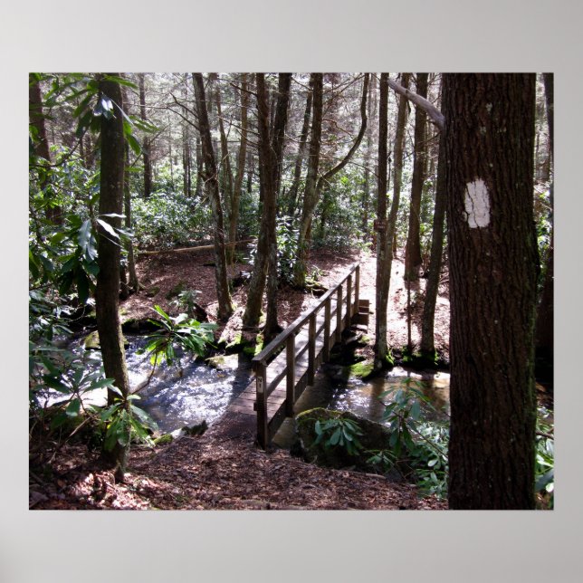 Appalachian Trail bridge at Laurel Fork Tennessee Poster (Front)