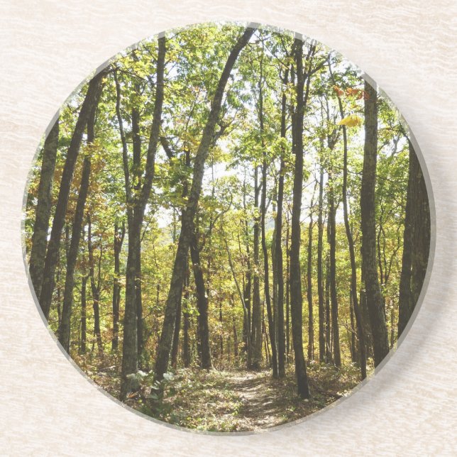 Appalachian Trail in October at Shenandoah Coaster (Front)