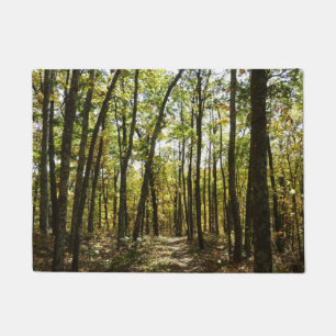 Appalachian Trail in October at Shenandoah Doormat