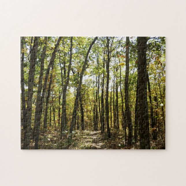 Appalachian Trail in October at Shenandoah Jigsaw Puzzle (Horizontal)