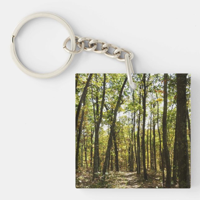 Appalachian Trail in October at Shenandoah Key Ring (Front)