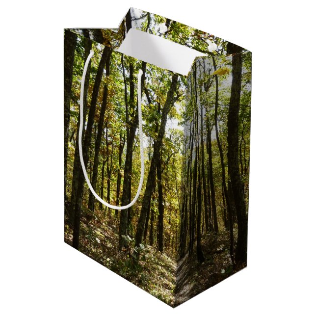 Appalachian Trail in October at Shenandoah Medium Gift Bag (Back Angled)