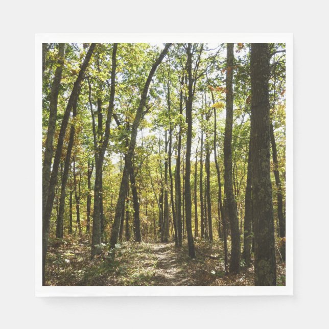 Appalachian Trail in October at Shenandoah Napkin (Front)