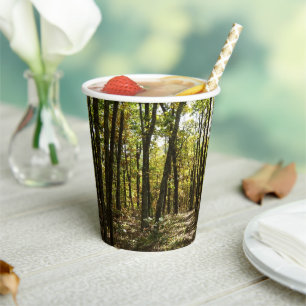 Appalachian Trail in October at Shenandoah Paper Cups