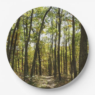 Appalachian Trail in October at Shenandoah Paper Plate