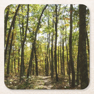 Appalachian Trail in October at Shenandoah Square Paper Coaster