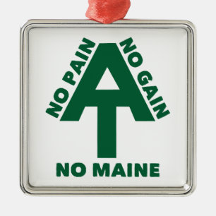 Appalachian Trail No Pain No Gain No Maine Metal Tree Decoration
