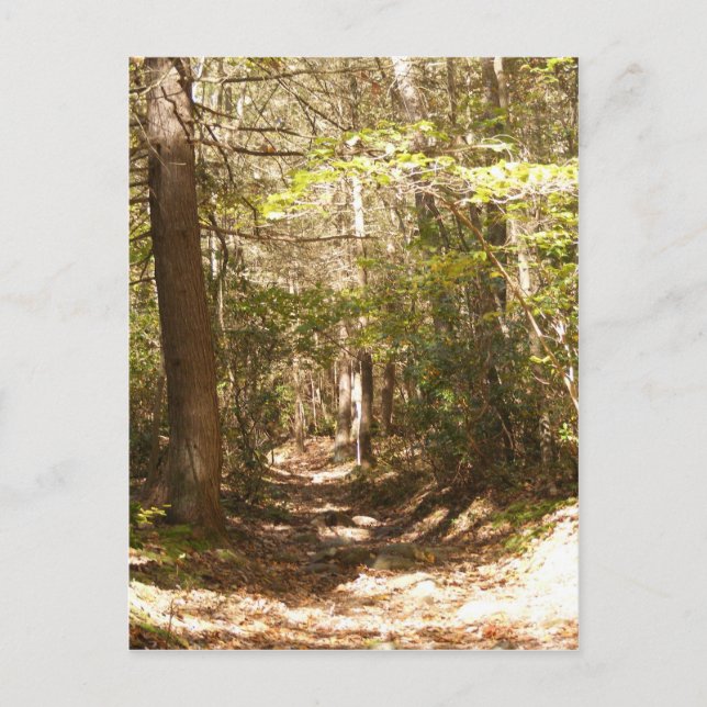 appalachian trail pennsylvania postcard (Front)