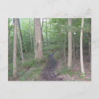 appalachian trail pennsylvania south mountain postcard