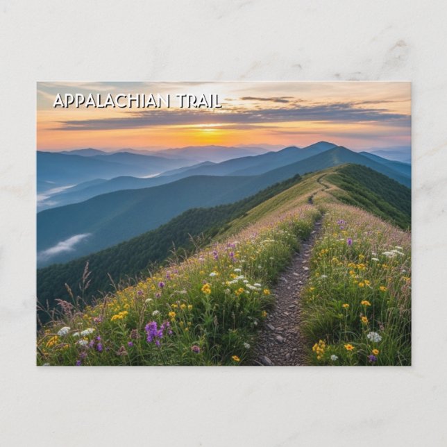 Appalachian Trail Travel Postcard (Front)