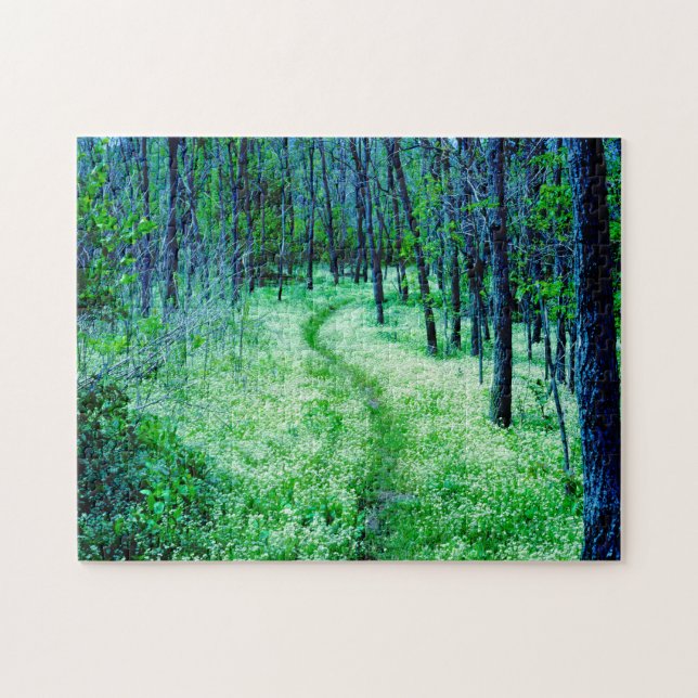 Appalachian Trail Virginia. Jigsaw Puzzle (Horizontal)
