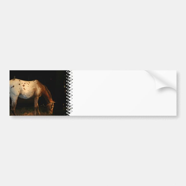 Appaloosa Bumper Sticker (Front)