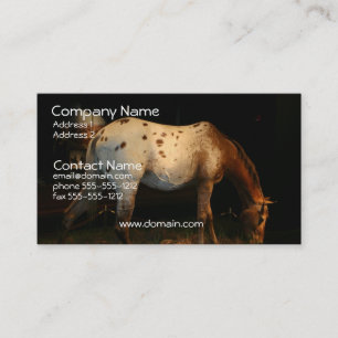 Appaloosa Business Card