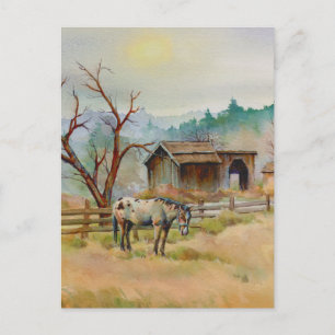 APPALOOSA by SHARON SHARPE Postcard